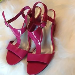 PREDICTIONS WEDGES PINK 3"